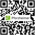 qr-code logo url pforzheimer-de-w251-h251